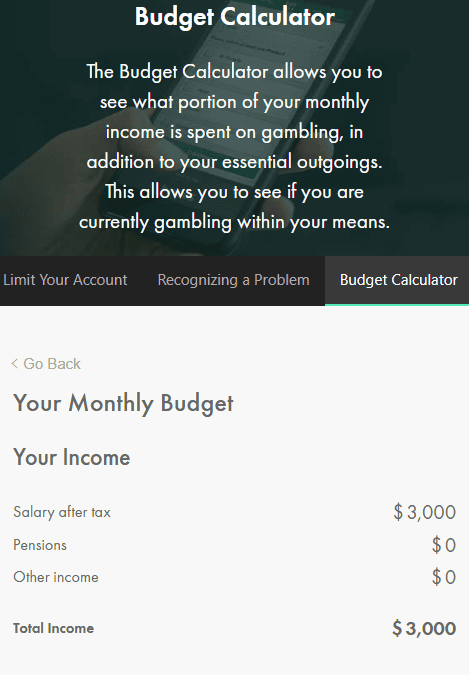 bet365 responsible gambling & budget calculator